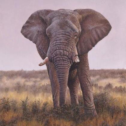 Namibian Elephant Painting