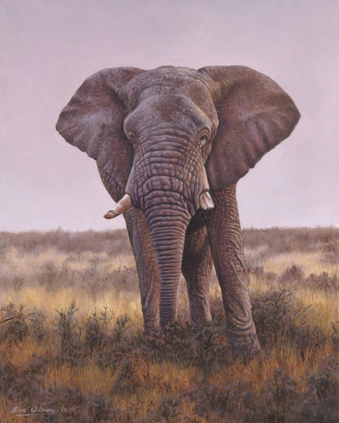 Namibian Elephant Painting